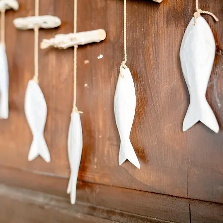 Domas N 3 Apartamento